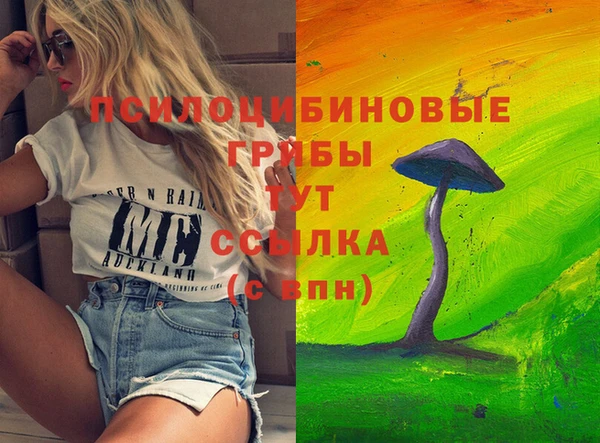 прущие грибы Арсеньев
