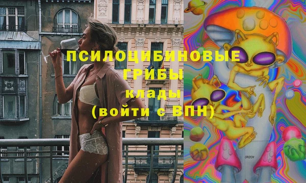 прущие грибы Арсеньев