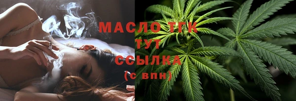 прущие грибы Арсеньев