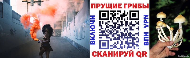Псилоцибиновые грибы Cubensis купить закладку Тара